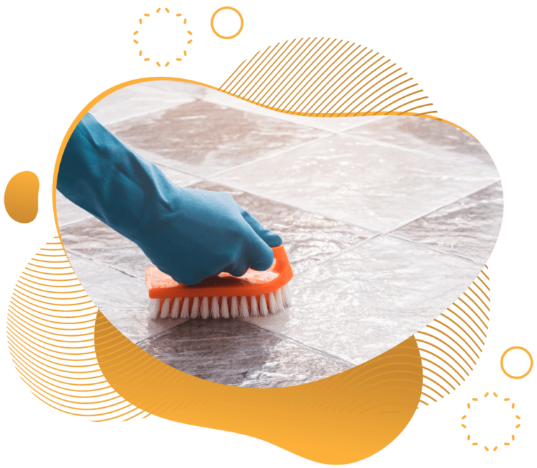 Floor Cleaning Collinsville IL Carpet Cleaning Services